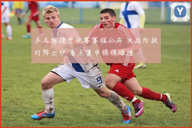 乒乓球德甲联赛赛程公布 决战阶段对阵出炉 看点集中强强碰撞