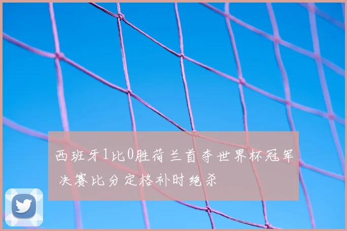 西班牙1比0胜荷兰首夺世界杯冠军 决赛比分定格补时绝杀