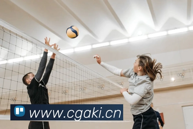 App Interface Preview